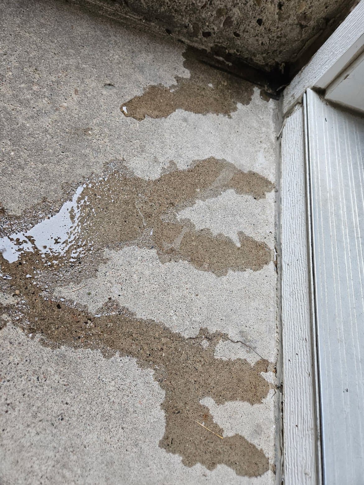 Storm & Flood Damage