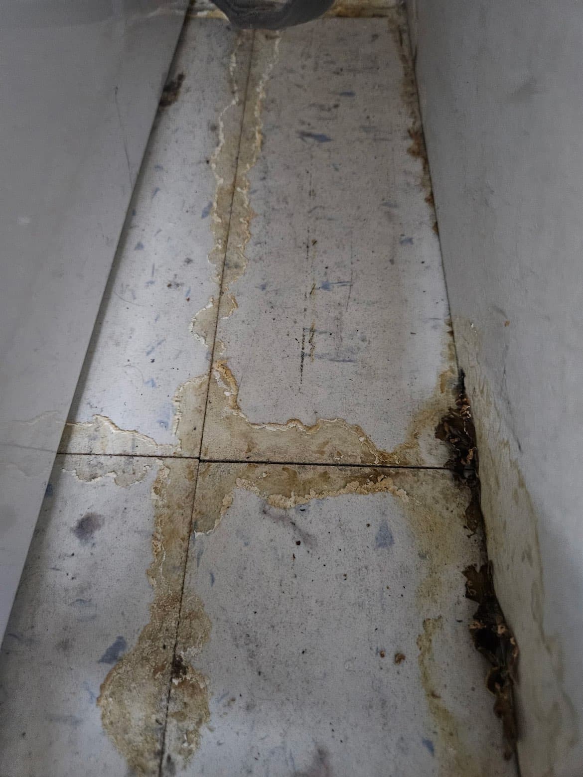 Water damaged flooring before restoration