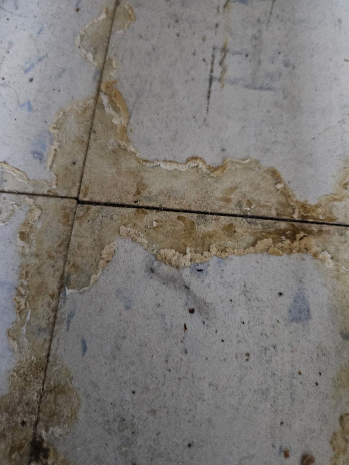 Stained tiles from water damage before restoration