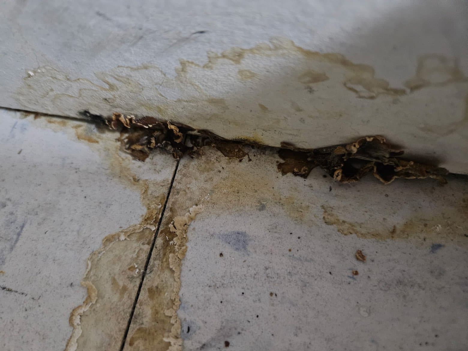 Peeling flooring before water damage restoration